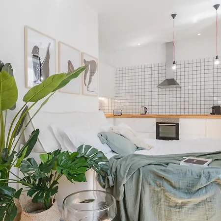 Apartamento Casa Boma - Spacious And Contemporary - Campo Ii *